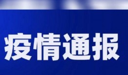 广州24小时新闻爆料,突发新闻与民生焦点速览